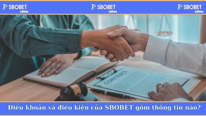 Điều khoản và điều kiện của SBOBET gồm thông tin nào?