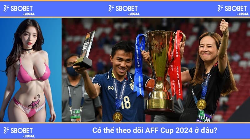 Có thể theo dõi AFF Cup 2024 ở đâu? 