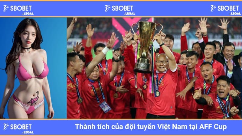 Thành tích của đội tuyển Việt Nam tại AFF Cup